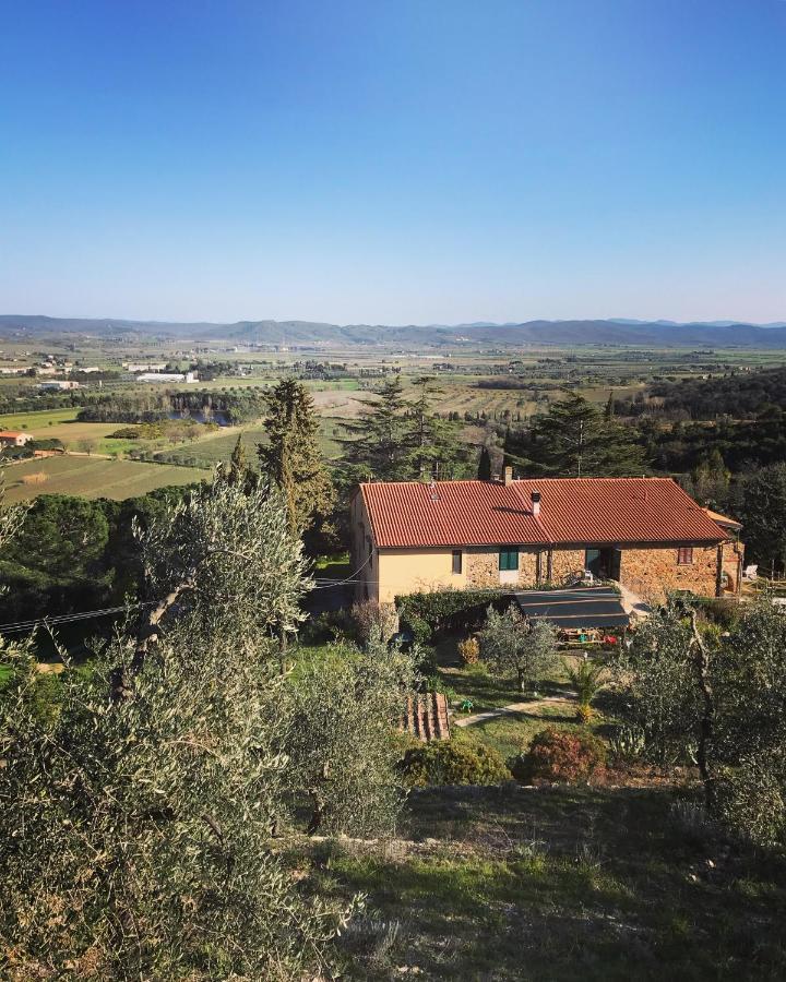 Podere Baloo Suvereto Buitenkant foto